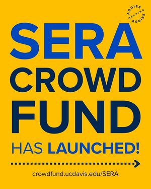 Image post by @aggieshelpingaggies on Instagram