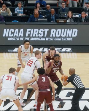 Image post by @badgermbb on Instagram