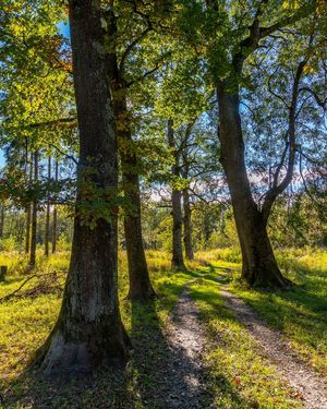 Image post by @cristan.nature.photography on Instagram