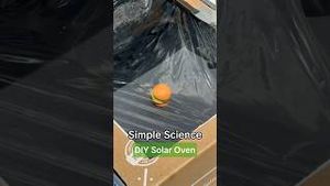 Video post by @kiwico on YouTube