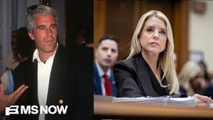 Video post by @msnbc on YouTube