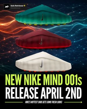 Image post by @soleretriever on Instagram