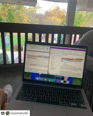Image post by @marshallu on Instagram