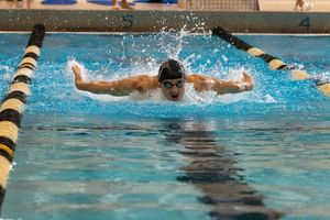 Image post by @stolafswimdive on Instagram