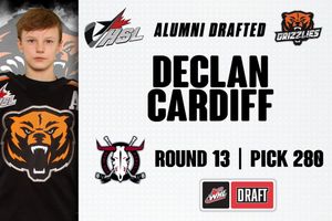 Image post by @HockeySuperLeague on Facebook
