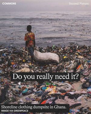 Image post by @commonsearth on Instagram