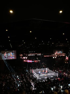 Image post by @MayweatherPromo on Twitter