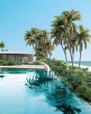 Image post by @shawellness_mexico on Instagram