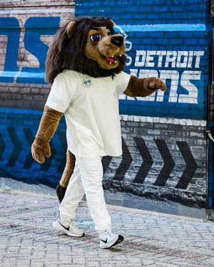 Image post by @roarynfl on Instagram