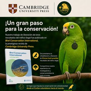 Image post by @fundacionloros on Instagram