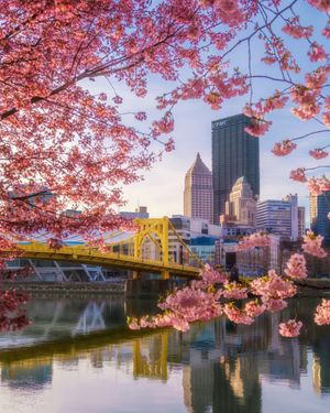 Image post by @visitpittsburgh on Instagram
