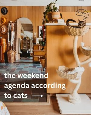 Image post by @wayfair on Instagram