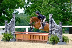 Image post by @kyhorseshows on Instagram