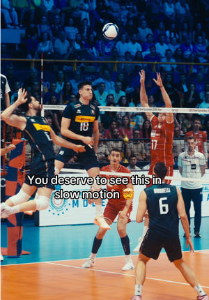 Video post by @fipavofficial on TikTok