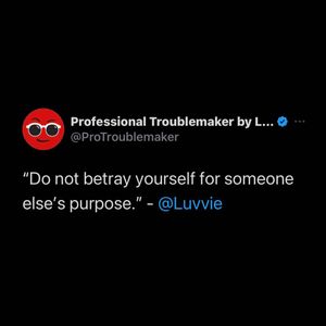 Image post by @professionaltroublemaker on Instagram