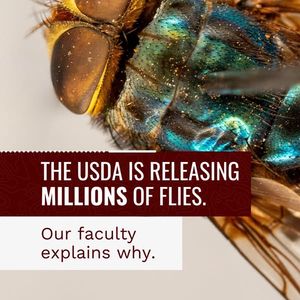 Image post by @tamuagrilife on Facebook