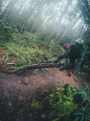 Image post by @wolf_tooth_comp on Instagram