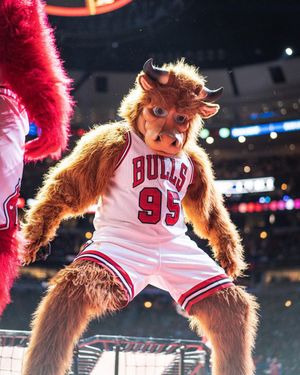 Image post by @bennythebull on Instagram