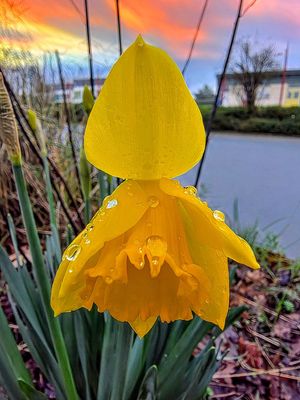 Image post by @gaetanld56 on Instagram