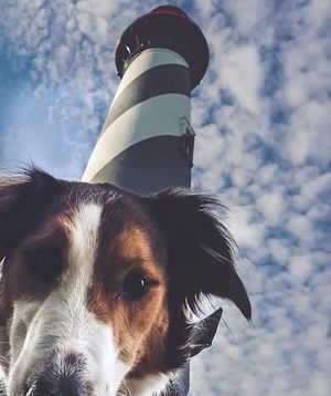 Image post by @stauglighthouse on Instagram