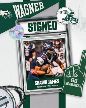 Image post by @wagner_football on Instagram
