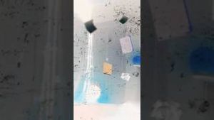 Video post by @adobecreativecloud on YouTube