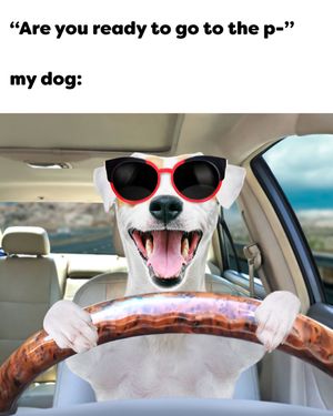 Image post by @mybenebone on Instagram