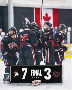 Image post by @cockhockey on Instagram