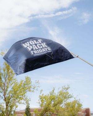 Image post by @nevadawolfpack on Instagram