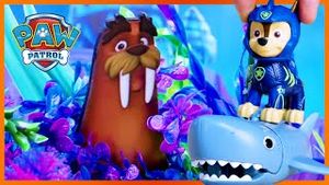 Video post by @pawpatrolofficial on YouTube