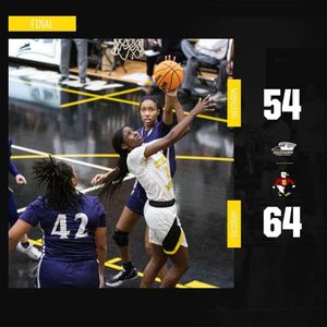 Image post by @gopetrelswbb on Instagram