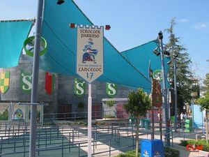 Image post by @cowmissing on Instagram