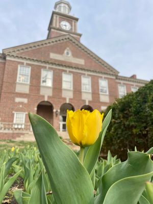Image post by @WichitaState on Twitter