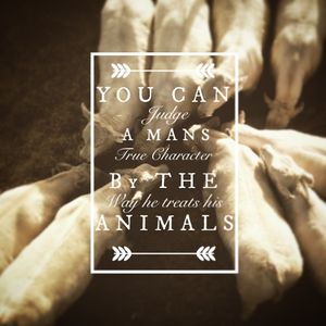 Image post by @nationalwestern on Instagram