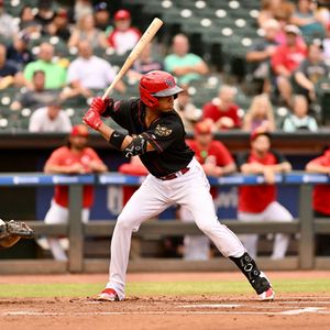 Image post by @LouisvilleBats on Twitter