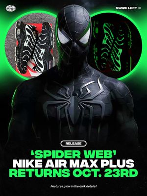 Image post by @insanesneaker on Instagram