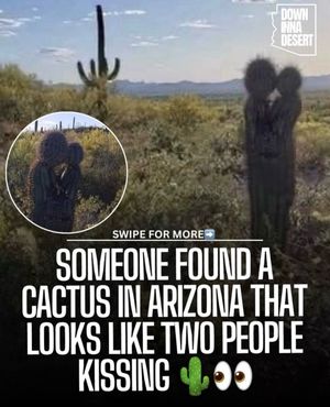 Image post by @downinnadesert on Instagram