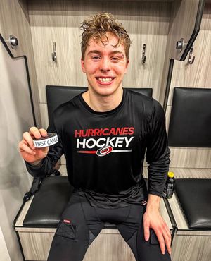 Image post by @theahl on Instagram