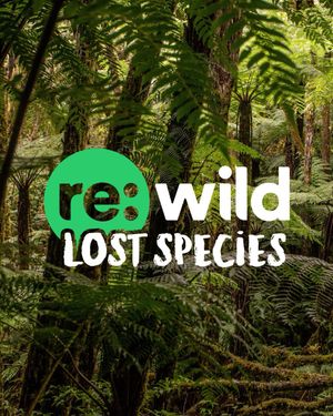 Image post by @rewild on Instagram