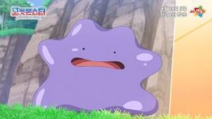 Video post by @pokemonkoreainc on YouTube