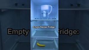 Video post by @brita on YouTube