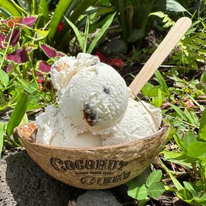 Image post by @coconutglens on Instagram