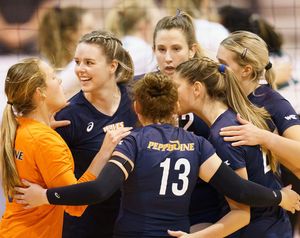 Image post by @pepperdinewaves on Instagram