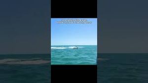 Video post by @beachpleasefestival on YouTube