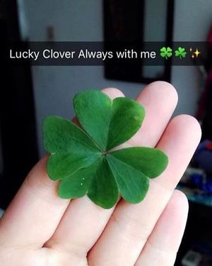 Image post by @pammywest on Instagram