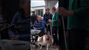 Video post by @paralympics on YouTube