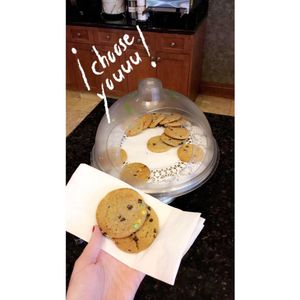 Image post by @hamptongvilledt on Instagram