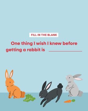Image post by @petsmart on Instagram