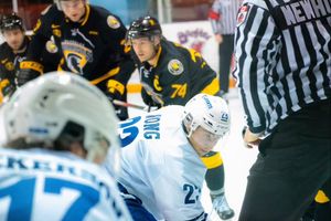 Image post by @katewangphoto on Instagram