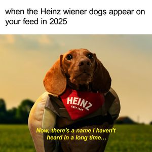 Image post by @HeinzTweets on Twitter